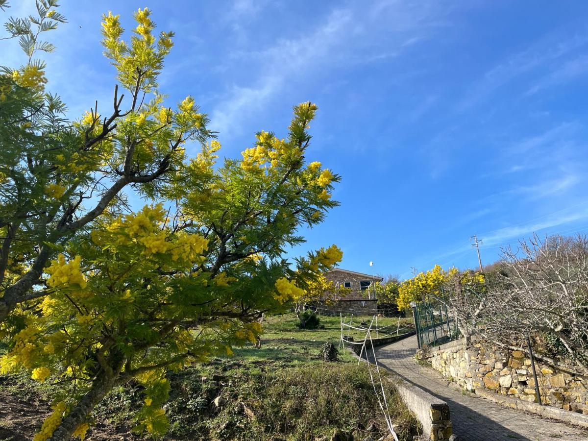 אימפריה Agriturismo Le Mimose מראה חיצוני תמונה