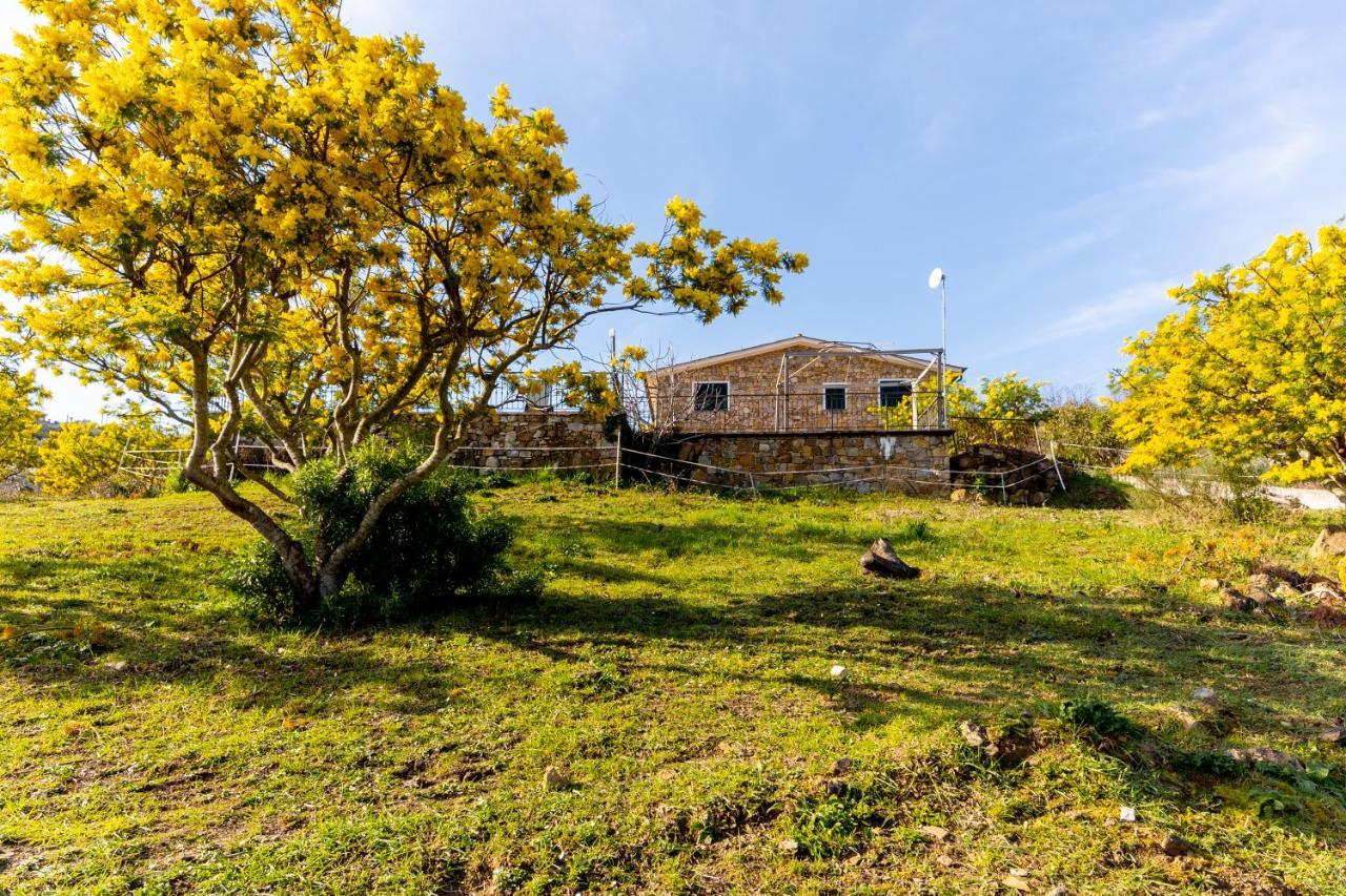 אימפריה Agriturismo Le Mimose מראה חיצוני תמונה